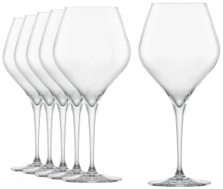 FINESSE Sklenice na burgundské víno 660 ml, sada 6 ks / SCHOTT ZWIESEL