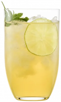 ZWIESEL GLASS Sklenice TONE 513 ml, 4 ks